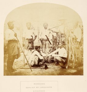 Baweeans, Coolies or Labourers, Singapore, from The People of India, by J. Forbes Watson, published 1868